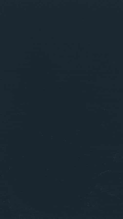 Logo Animation Logo Animation