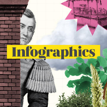 Infographics